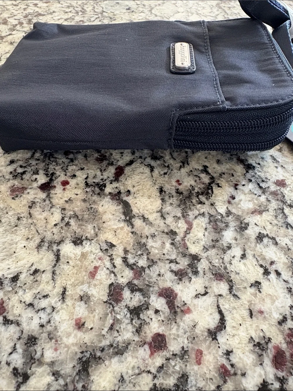 New Baggallini Take Two Crossbody